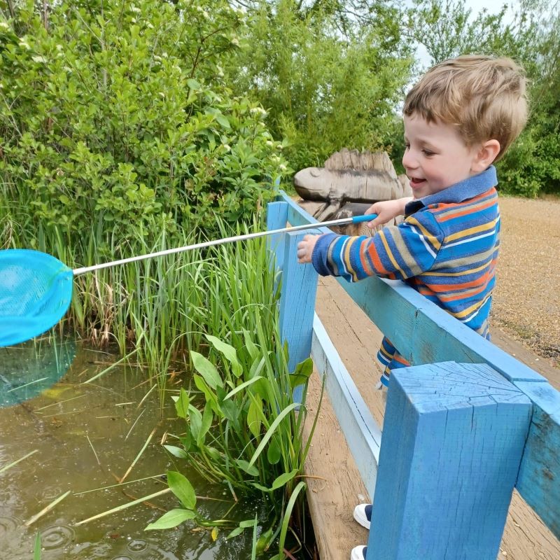 Family Drop In Day - Pond Dipping Bug Hunting and Crafts 