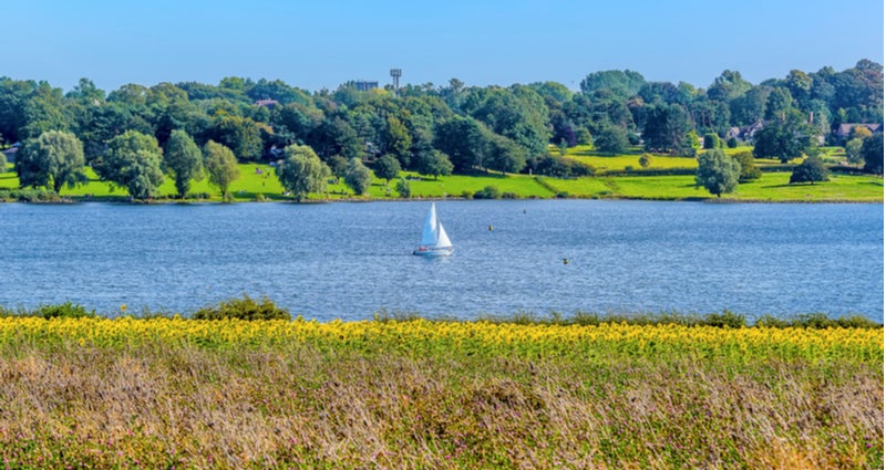 Rutland Water landscape
